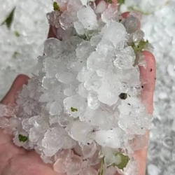 Nevrijeme zahvatilo dijelove BiH: Led veličine jajeta uništavao usjeve i objekte